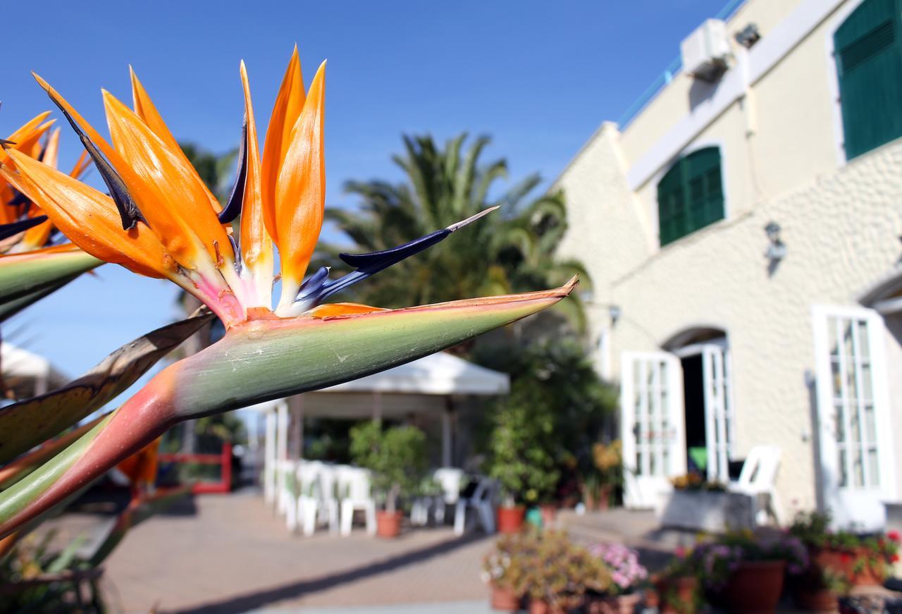 Albergo Ristorante Lucciola Santo Stefano al Mare Esterno foto